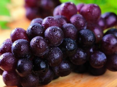 如何种植葡萄（葡萄的种植方法和技术）