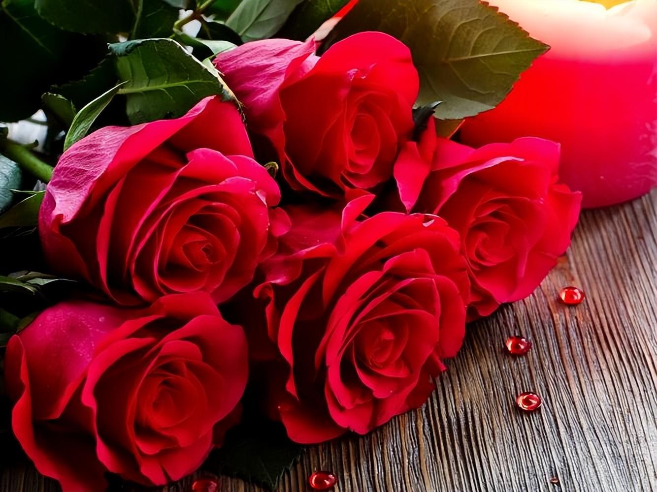 11朵红色玫瑰花的花语（不同朵数玫瑰花的寓意）