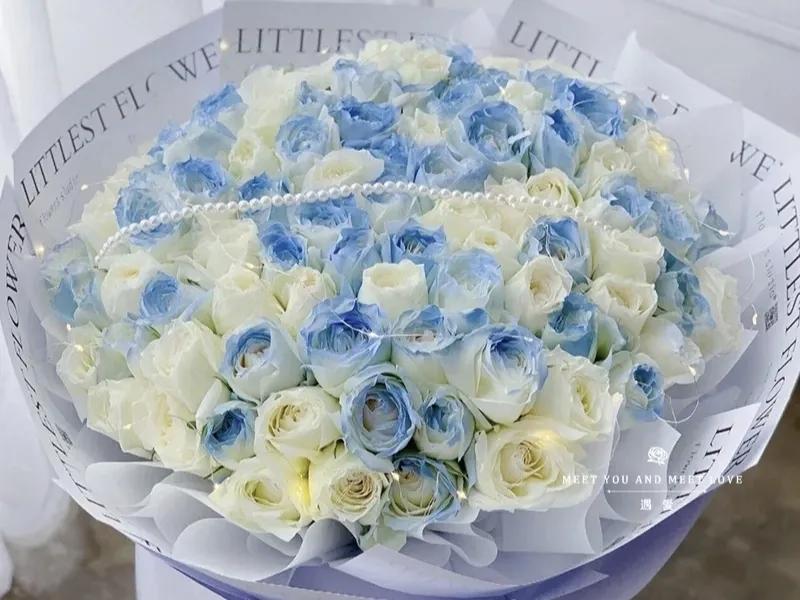 边缘是浅蓝色的白玫瑰叫什么（白色带点蓝色的玫瑰品种）