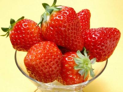 草莓多久浇一次水（草莓养护的正确方法）