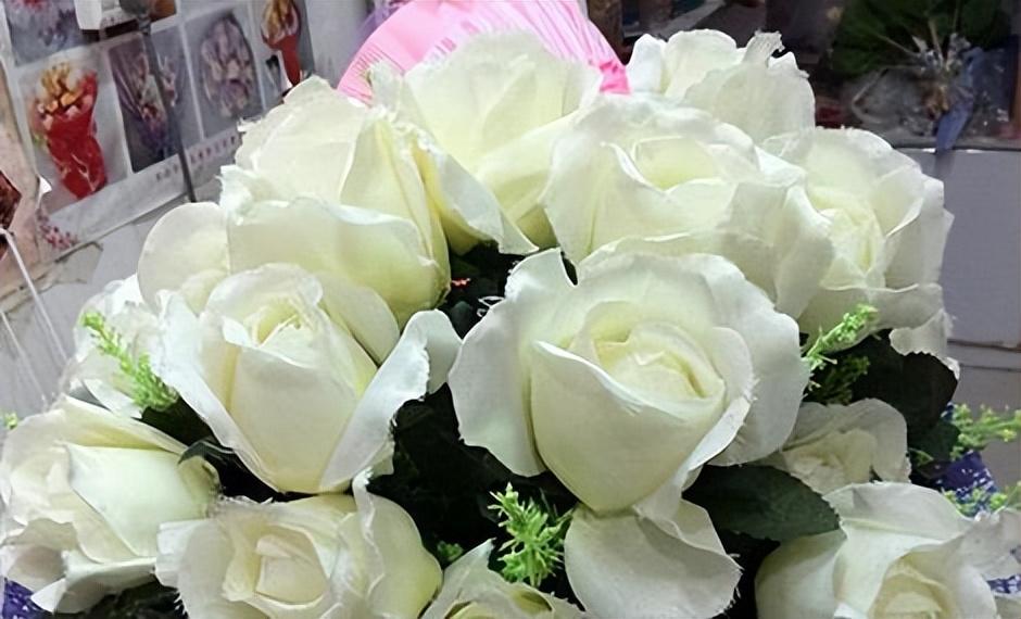 白色玫瑰花的花语是什么（了解白玫瑰花代表的含义）