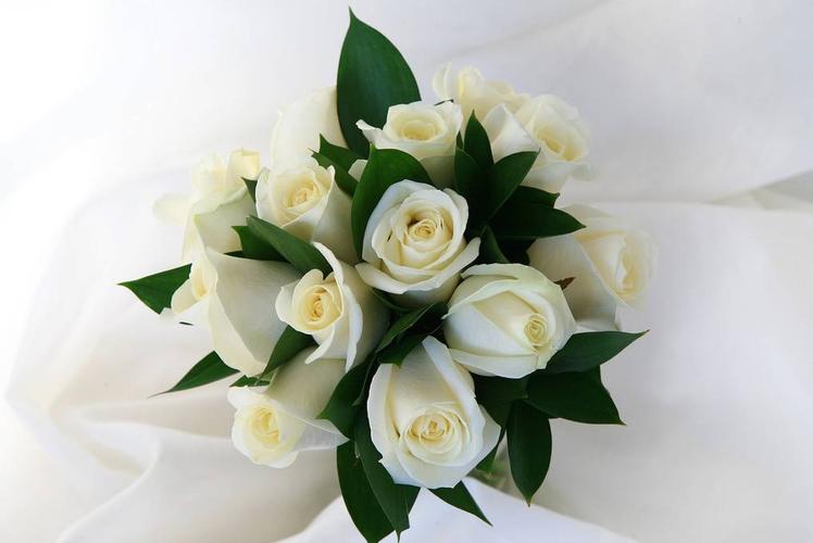 白色玫瑰花的花语是什么（了解白玫瑰花代表的含义）