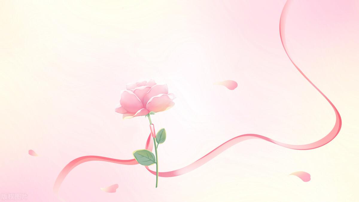 粉色玫瑰花代表什么意思（粉色玫瑰的寓意和象征）